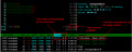 Thumbnail for version as of 19:46, 9 December 2024
